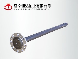 印尼-細齒Indonesia_05.jpg