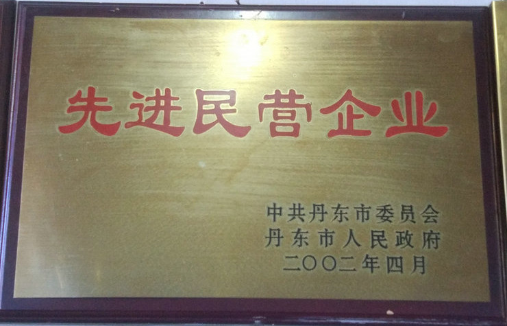 先進(jìn)民營(yíng)企業(yè) 2002.jpg