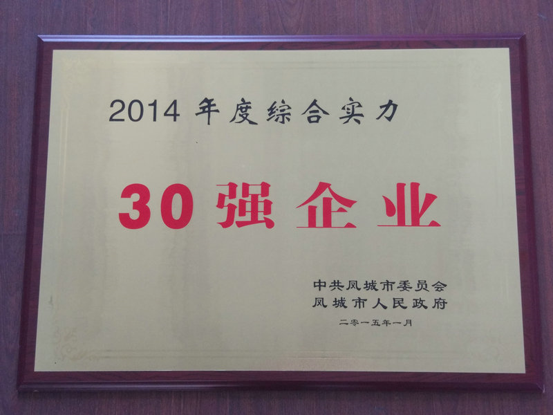 30強企業(yè) 2014.jpg